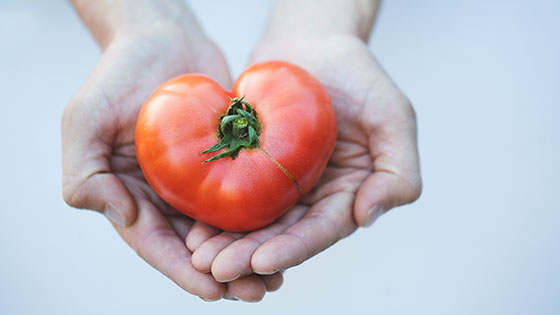 Van Metre x Chef Spike - Philanthropy